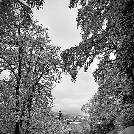 Hotell De Du Sentier