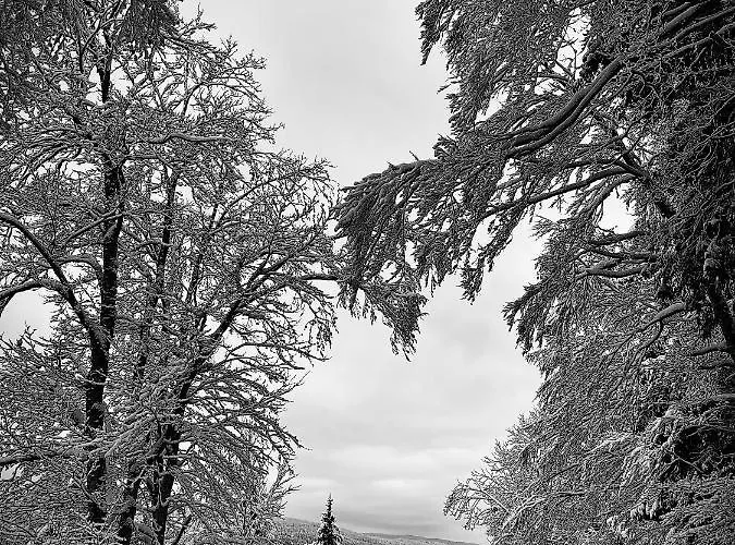 Hotell De Du Sentier